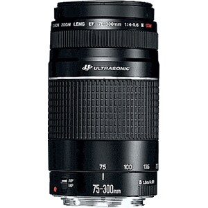 Canon EF C21-9891-201 - 75 mm to 300 mm - f/5.6 - Telephoto Zoom Lens - 58 mm Attachment - 0.25x Magnification - 71 mm Dia