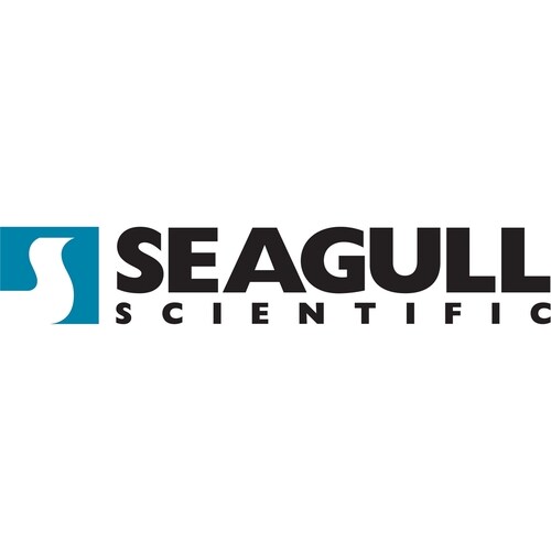 Seagull Standard Maintenance e Support - Serviço - Técnico