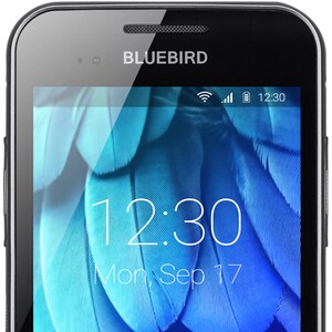Bluebird EF501 Handheld Terminal - 12.7 cm (5") - LCD - HD - 1280 x 720 - Touchscreen - 4 GB RAM / 32 GB Flash - Bluetooth