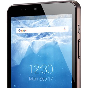 Bluebird Soft RT080 Tablet - 20.3 cm (8") - 2 GB RAM - 32 GB Storage - Octa-core (8 Core) 2 GHz - 1920 x 1200 - Eyellumina