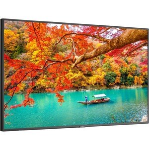 NEC Display 49" Wide Color Gamut Ultra High Definition Professional Display - 49" LCD - High Dynamic Range (HDR) - 3840 x 
