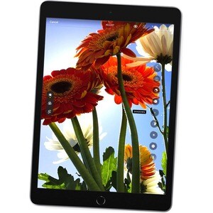 Tableta Apple iPad (9th Generation) - 25.9cm (10.2") - Apple Iluminación Dual-core (2 núcleos) 2.65GHz - 64GB Almacenamien