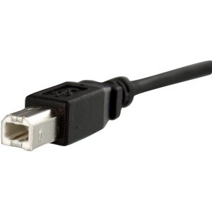StarTech.com 30cm (1 ft.) Panel Mount USB Cable B to B - F/M - First End: 1 x USB 2.0 Type B - Male - Second End: 1 x USB 