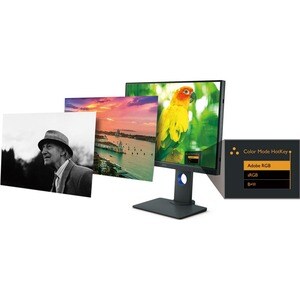 Monitor LCD BenQ PhotoVue SW240 61,2 cm (24,1") WUXGA LED - 16:10 - Gris - 609,60 mm Class - Tecnología de Conmutación in-