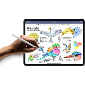 iPad (9th Gen) 10.2in Wi-Fi 256GB - Silver - A13 Bionic - Touch ID - Lightning - Supports Apple Pencil (1st Gen) and Smart