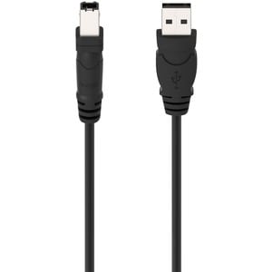 Belkin Hi-Speed USB 2.0 Cable - Type A Male USB - Type B Male USB - 6ft