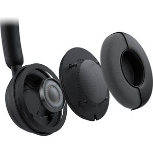 Microsoft Modern Wired Over-the-head Stereo Headset - Black - Binaural - Ear-cup - 100 Hz to 20 kHz - 150 cm Cable - Noise