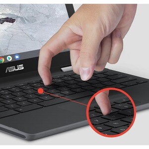 Asus Chromebook Flip C214 C214MA-BU0308 29.5 cm (11.6") Touchscreen Chromebook - HD - 1366 x 768 - Intel Celeron N4020 - 4