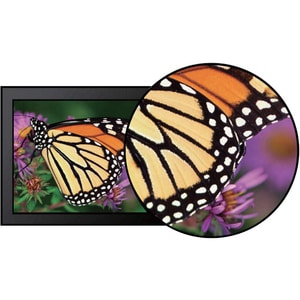 Philips 222B9T 54.6 cm (21.5") LCD Touchscreen Monitor - 16:9 - 1 ms GTG - Projected Capacitive - 1920 x 1080 - Full HD - 