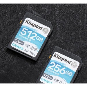 Kingston Canvas Go! Plus 256 GB Class 10/UHS-I (U3) SDXC - 1 Pack - 170 MB/s Read - 90 MB/s Write
