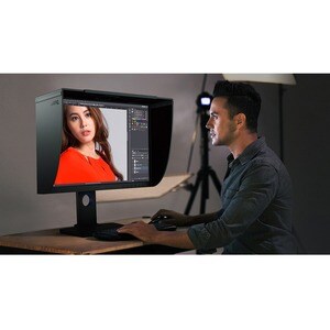 Monitor LCD BenQ PhotoVue SW240 61,2 cm (24,1") WUXGA LED - 16:10 - Gris - 609,60 mm Class - Tecnología de Conmutación in-