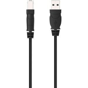 Belkin Hi-Speed USB 2.0 Cable - Type A Male USB - Type B Male USB - 6ft
