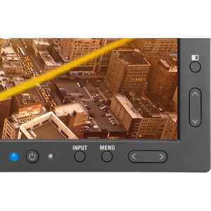 NEC Display MultiSync PA243W 61 cm (24") WUXGA GB-R LED LCD Monitor - 16:10 - Black - 609.60 mm Class - 1920 x 1200 - 1.07