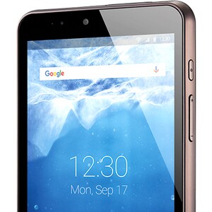 Bluebird Soft RT080 Tablet - 20.3 cm (8") - 2 GB RAM - 32 GB Storage - Android 7.0 Nougat 64-bit - 4G - 1920 x 1200 - Eyel