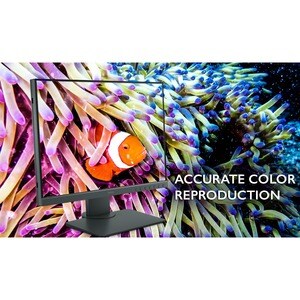 Monitor LCD BenQ PhotoVue SW240 61,2 cm (24,1") WUXGA LED - 16:10 - Gris - 609,60 mm Class - Tecnología de Conmutación in-