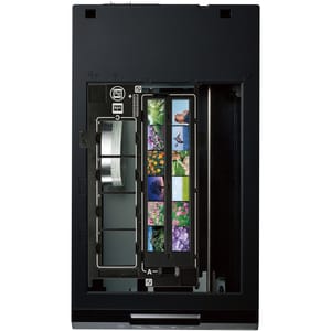 Epson Perfection V550 Flatbed Scanner - 6400 dpi Optical - 48-bit Color - 16-bit Grayscale - USB