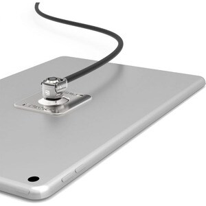 Compulocks Universal Cable Lock For Tablet - 1.83 m Cable - Black - Galvanized Steel - For Tablet