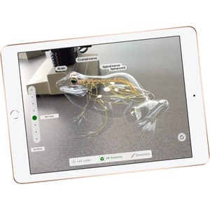 Apple iPad Tablet - 9.7" - 128 GB Storage - iOS 11 - Gold - Apple A10 SoC - ARM Hurricane Dual-core (2 Core) 2.34 GHz, TSM