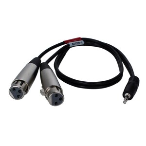 QVS 2ft 3.5mm Male to Dual-XLR Female Dual-Microphone Audio Y-Cable - 2 ft Mini-phone/XLR Audio Cable for Camcorder, Audio