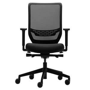 Ergotron WF Mesh Chair, with Armrests 4-D (graphite black) - Graphite Black Fabric Seat - 5-star Base - Graphite Black - A