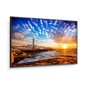 Sharp NEC Display 55" Wide Color Gamut Ultra High Definition Professional Display - 55" LCD - High Dynamic Range (HDR) - 3