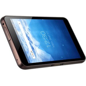 Bluebird Soft RT080 Tablet - 20.3 cm (8") - 2 GB RAM - 32 GB Storage - Android 7.0 Nougat 64-bit - 4G - 1920 x 1200 - Eyel